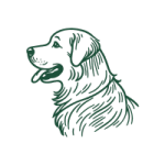 GADUID UID Kuwait Oxolus 03