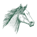 GADUID UID Kuwait Oxolus 04