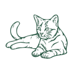 GADUID UID Kuwait Oxolus 05