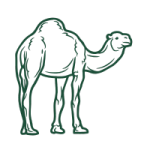 GADUID UID Kuwait Oxolus 06