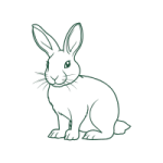 GADUID UID Kuwait Oxolus 07